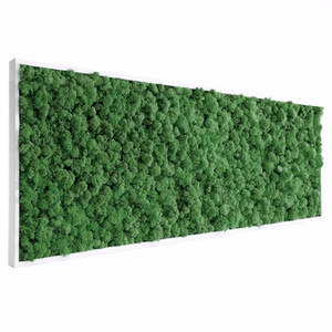 Tableau végétal stabilisé Lichen vert naturel 120 x 80 cm