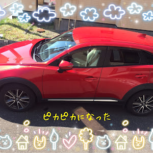 CX-3 DK5AW