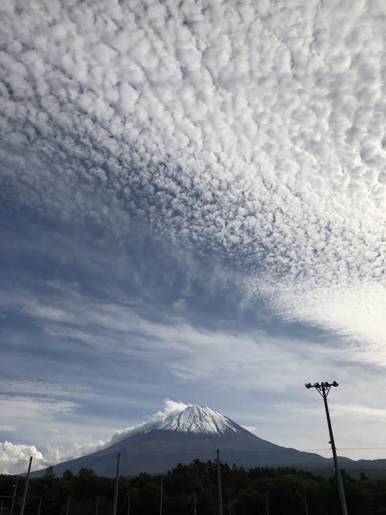 の投稿画像5枚目