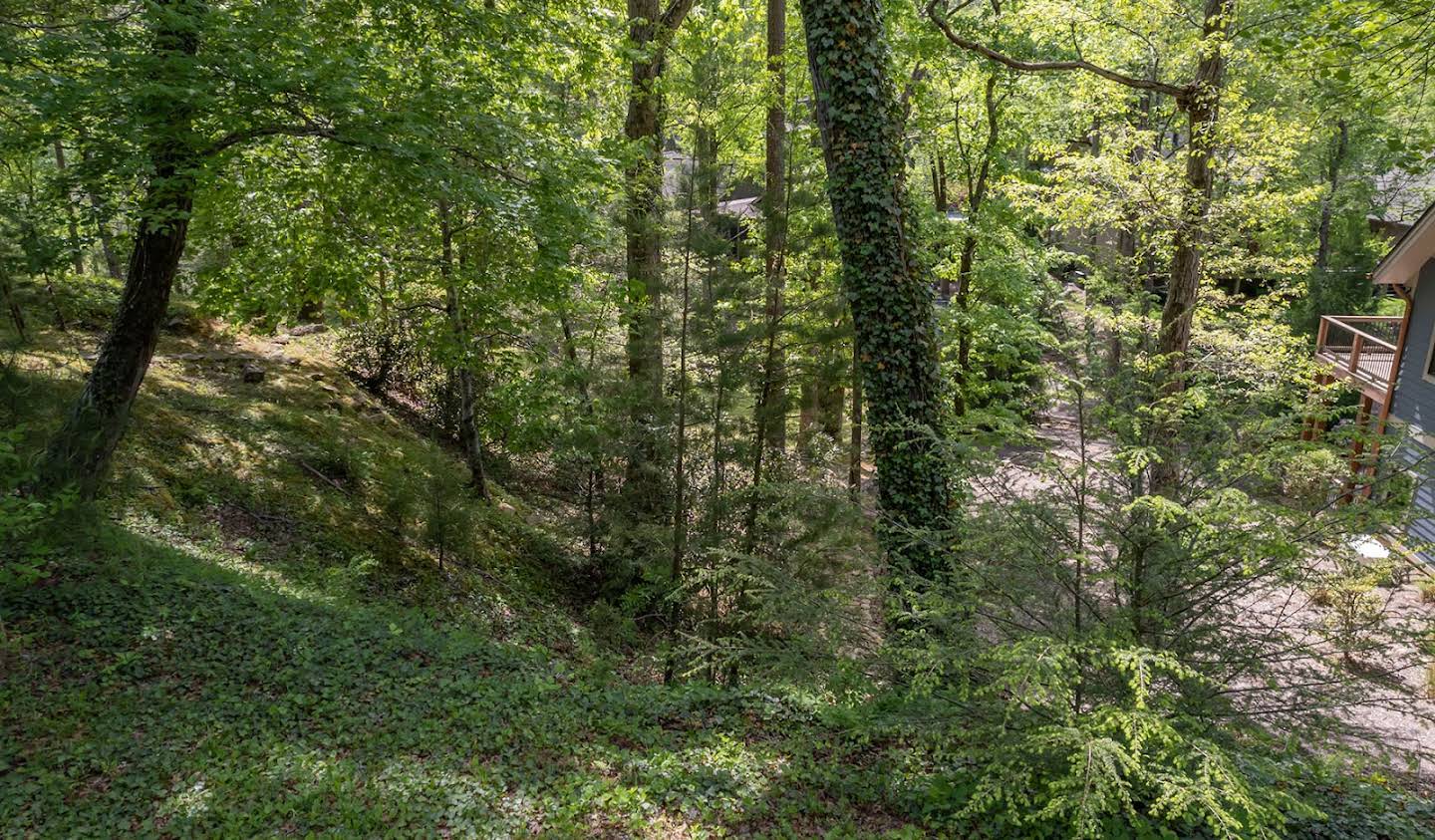 Terrain Lake Lure