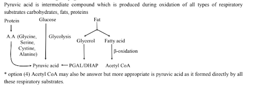 Solution Image