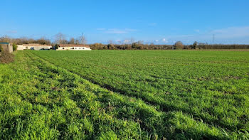 terrain à Villedoux (17)