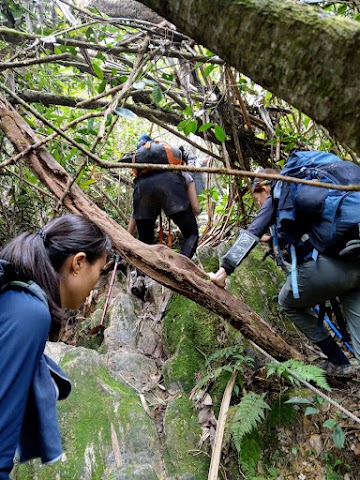 Mount Tahan Climbing