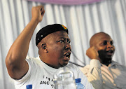 ANCYL president Julius Malema. file photo.