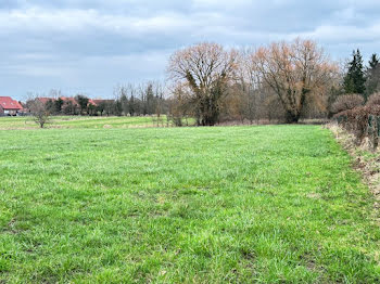 terrain à Mérignies (59)