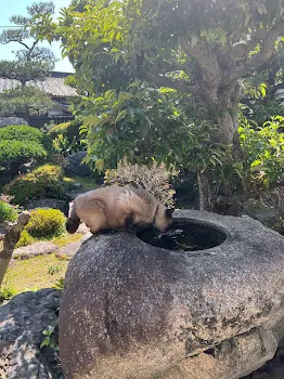 感謝です