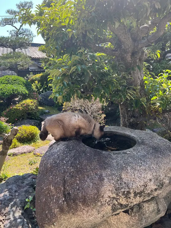 「感謝です」のメインビジュアル