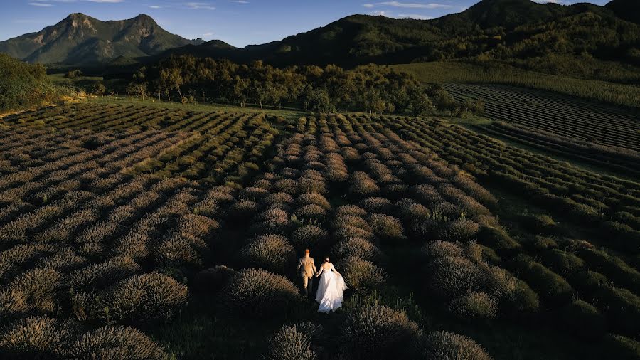 Fotógrafo de casamento Nikola Segan (nikolasegan). Foto de 14 de novembro 2023