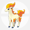 ponyta