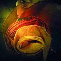 UN MONDO DI NASTRI di 