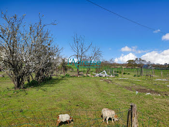 maison à Bouzillé (49)