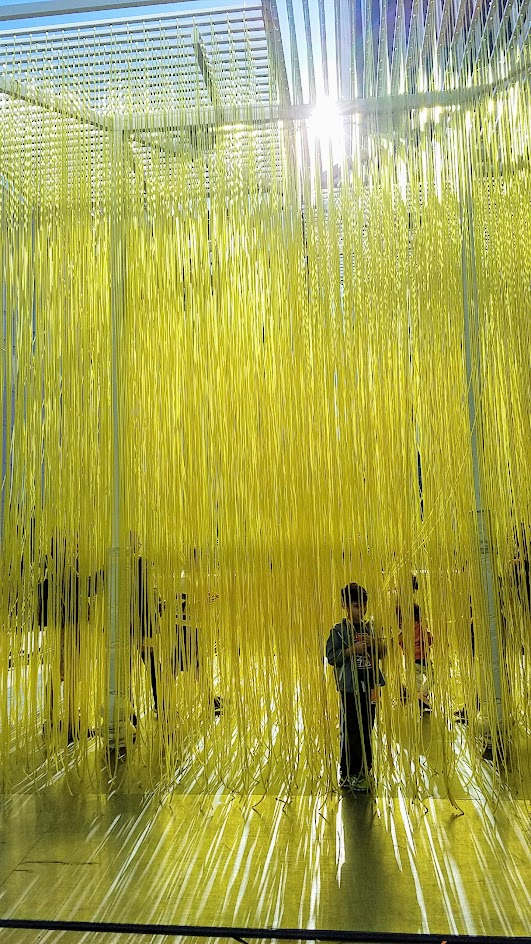 Jesús Rafael Soto's Penetrable, also known as Yellow Noodles or Spaghetti sometimes. It's a grid simply with yellow plastic hoses that viewers can interact with for free, on loan until Feb 2017 at LACMA in the main plaza