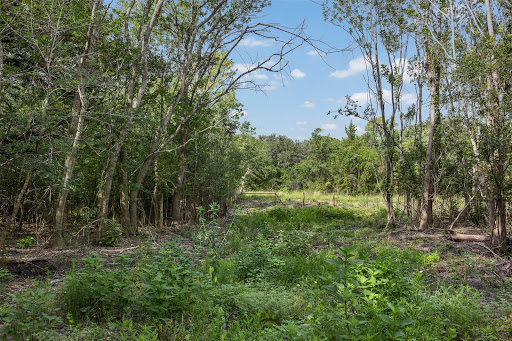 Wooded path with lush vegetation in this luxury land for sale in Round Top ($800,000 - 200,562 m²)