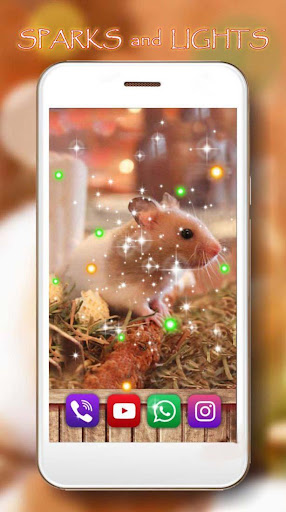 Hamsters Funny Live Wallpaper
