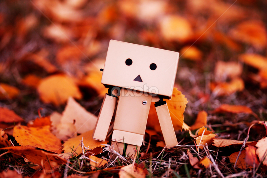 danbo love quotes