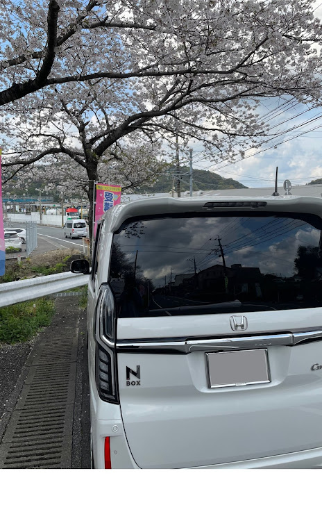 Nボックスカスタムの桜🌸とコラボ・🌴と海のコラボ・いつもイイネ&コメントありがとうございます🙇‍♂️に関するカスタム事例の投稿画像4枚目