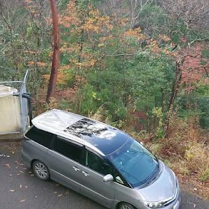 エスティマ GSR50W