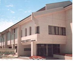 市川自然博物館