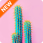 Cactus Wallpapers 3.0 Icon