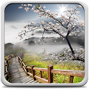 Descargar Perfect Sunrise Live Wallpaper Instalar Más reciente APK descargador