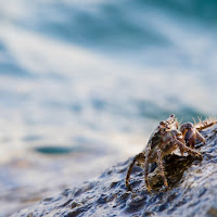 Aspettando l'onda di 