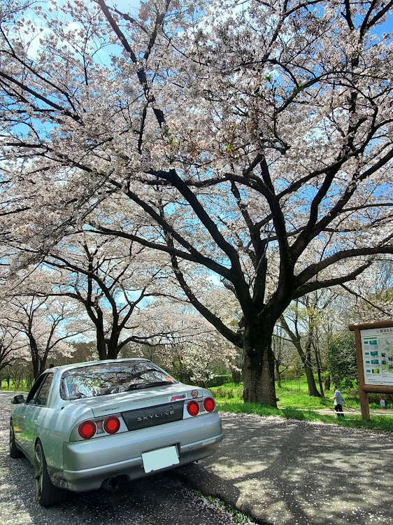 の投稿画像2枚目