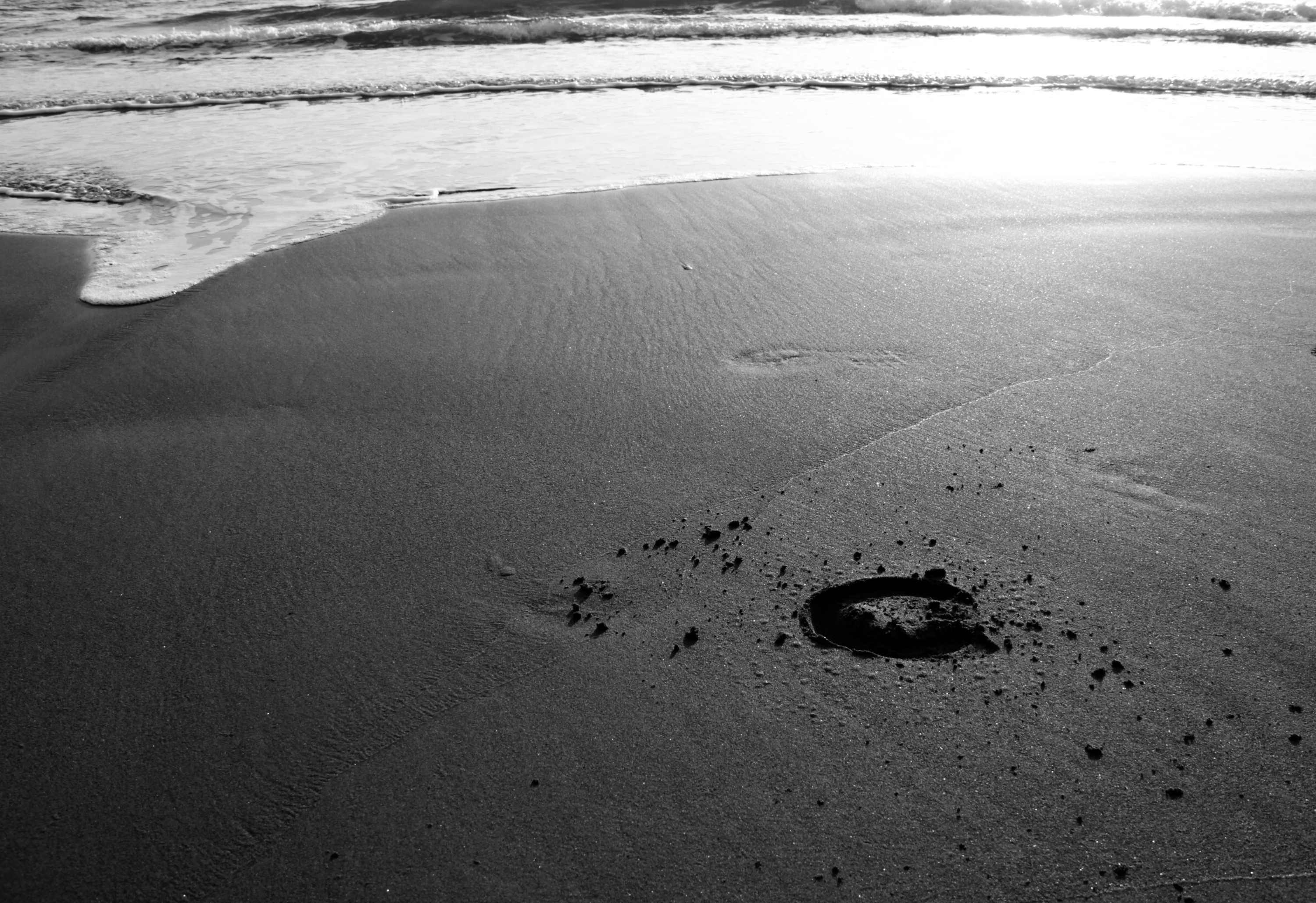 Footprint on the sand.. di PhotoBySaraPesucci