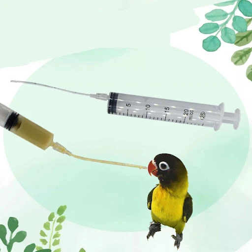 Baby Bird Feeder Parrot Feeding Syringe BreastFeeding Water Milk Medicine Bird Supplies 10/20 ML + Stainless Steel Spoon