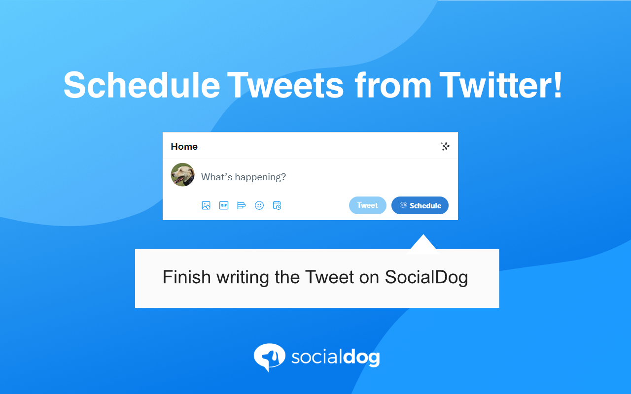 SocialDog - All-In-One Tool For Twitter Marketing Preview image 2