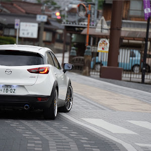 CX-3 DK5FW