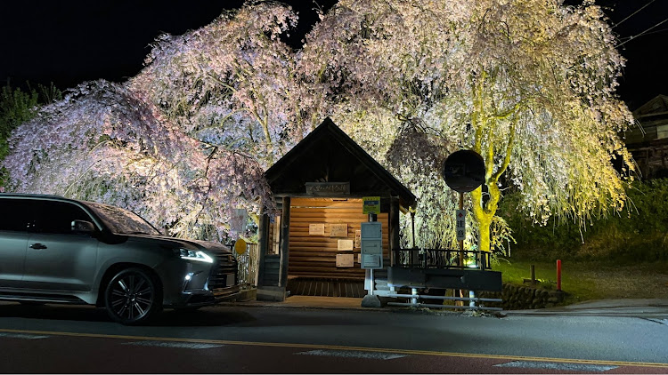 LSのドライブ・桜・ライトアップ・PickUpチャレンジに関するカスタム事例の投稿画像4枚目
