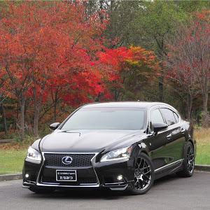 LS UVF45