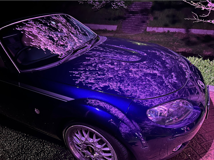 ロードスターの桜×愛車・桜・桜とコラボ・夜桜・BBSに関するカスタム事例の投稿画像1枚目