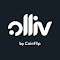 Item logo image for Olliv Browser Extension