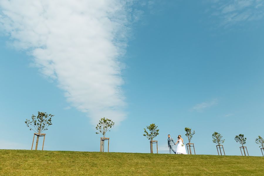 Fotograful de nuntă Pavel Titov (sborphoto). Fotografia din 4 septembrie 2018