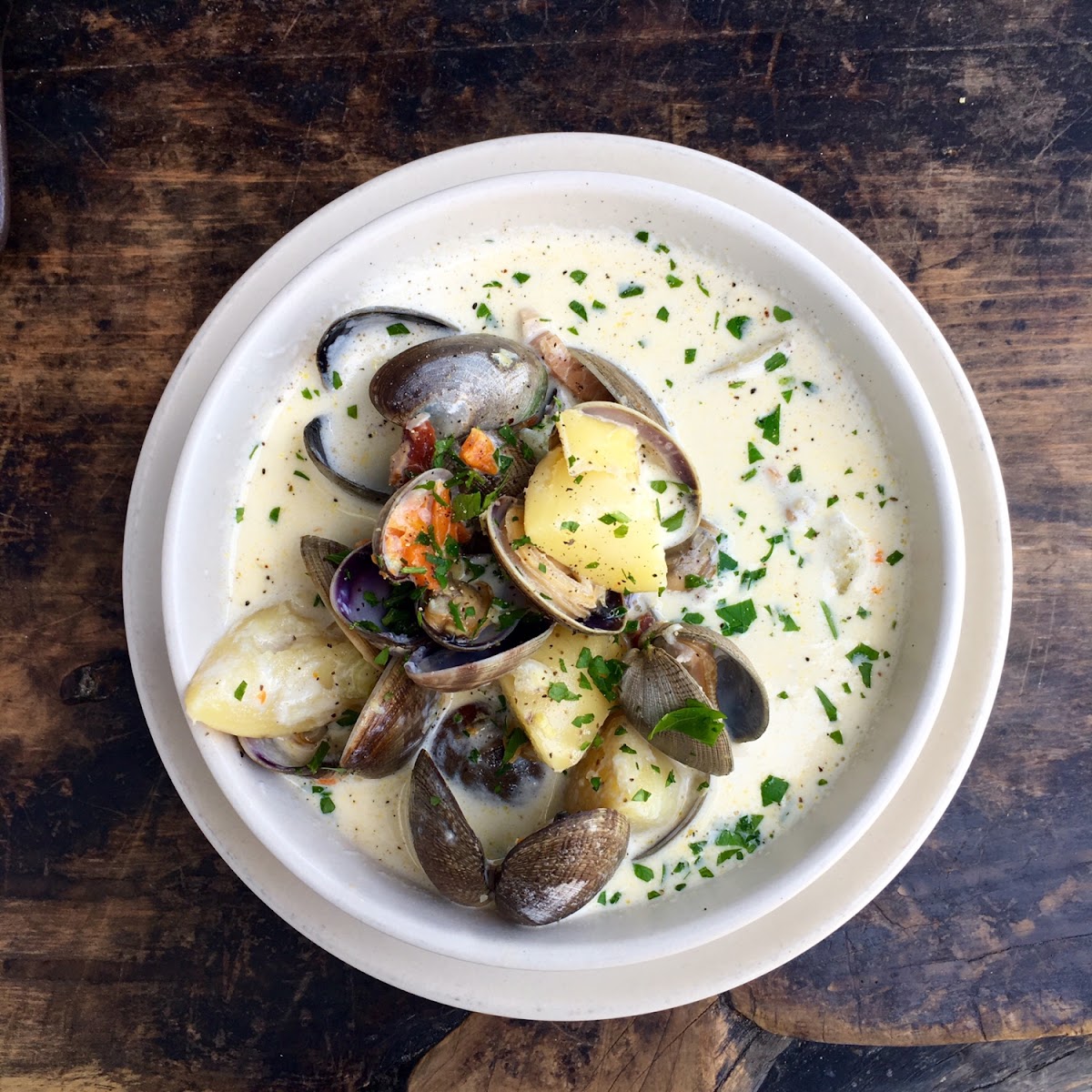 clam chowder