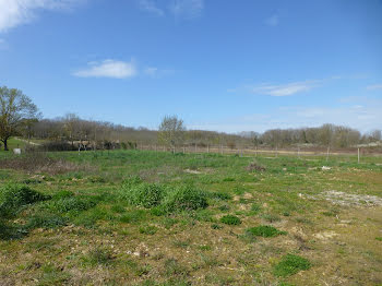 terrain à Eaunes (31)