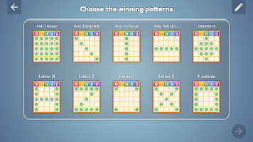 Bingo Set Screenshot