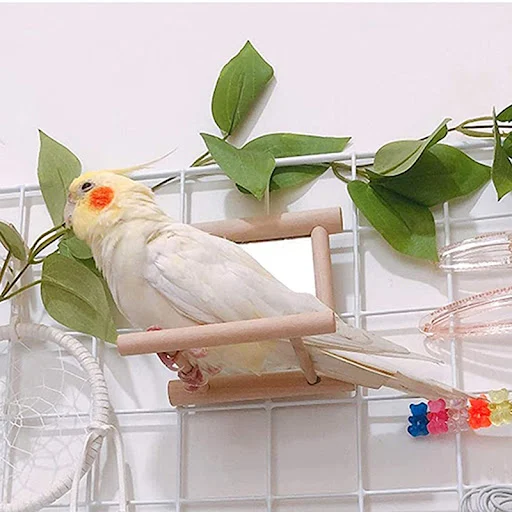 images slider number - 3