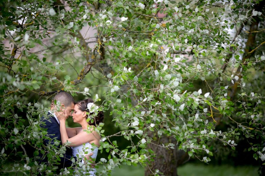 Wedding photographer Agnes Colombo (colombo). Photo of 22 September 2014