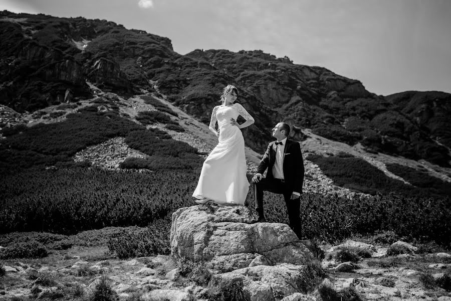 Fotógrafo de bodas Kamil Turek (kamilturek). Foto del 24 de enero 2017