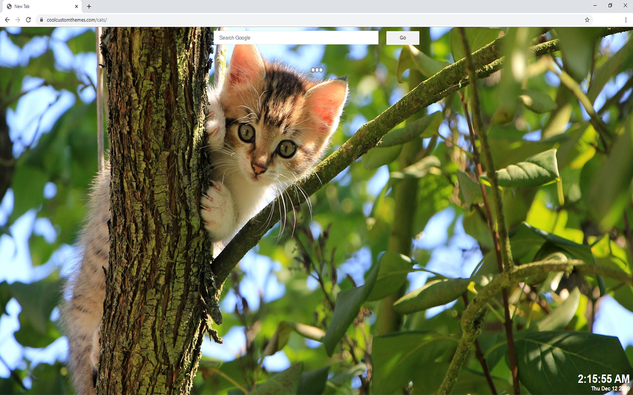 Cats Background Tab Theme Preview image 3