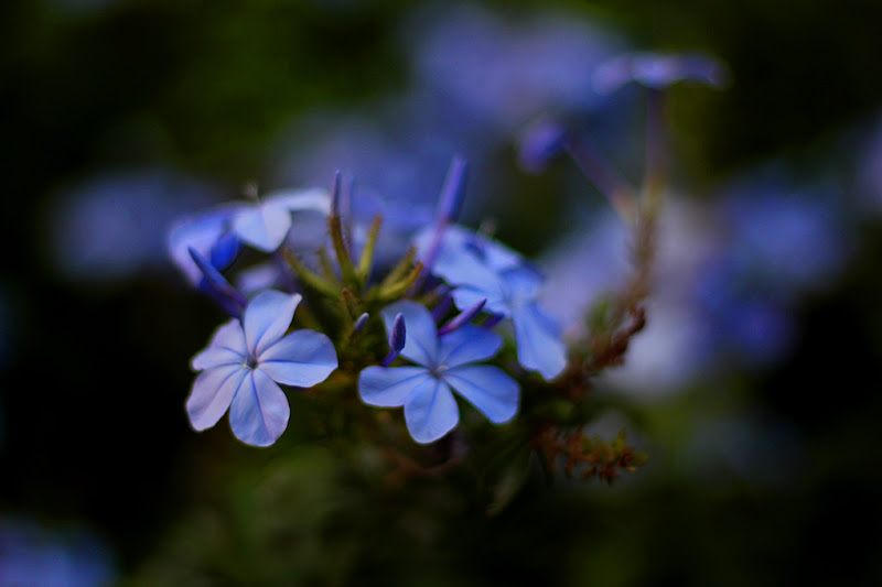 A tu per tu con la primavera e l'estate di Sarahh