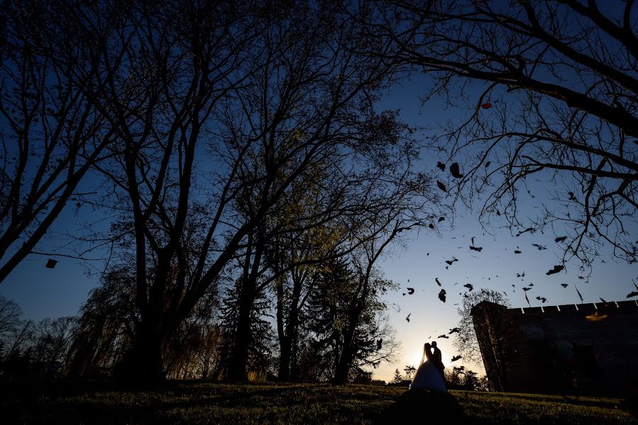 Fotógrafo de bodas Nelutu Rosu (neluturosu). Foto del 9 de marzo 2020