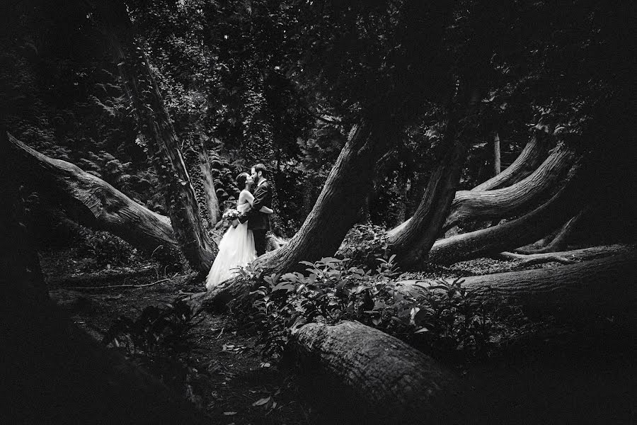 Fotógrafo de casamento Lea Torrieri (torrieri). Foto de 23 de novembro 2016