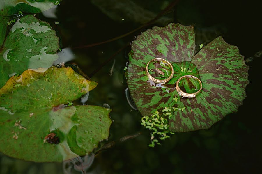 Pulmafotograaf Duy Le (duylephotography). Foto tehtud 28 jaanuar