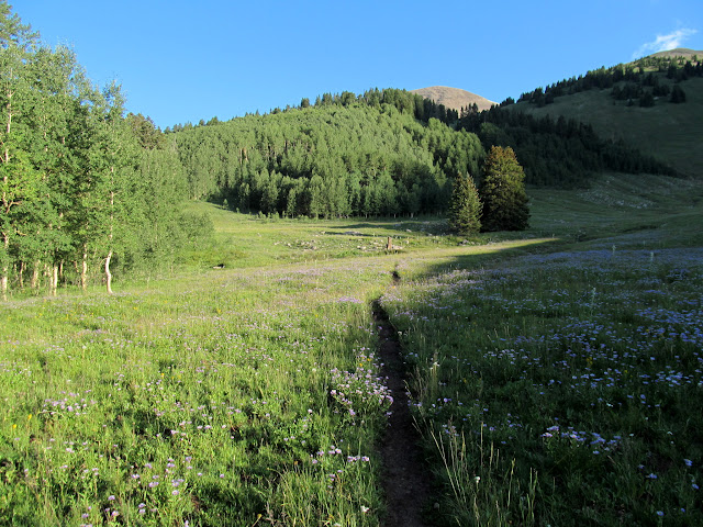 On the trail with Tuk just barely visible