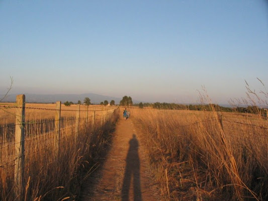 Ombre della sera di svetonio