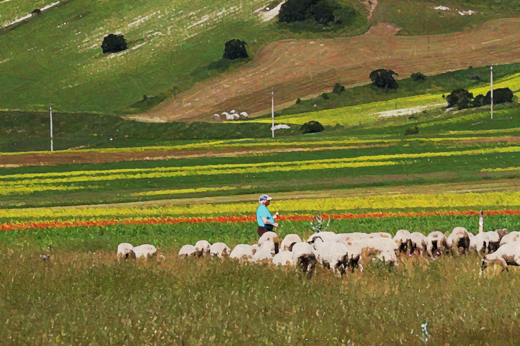 al pascolo di rovais