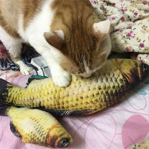Title 4, Plush Cat Fish Toy Pet Simulation. Provides int...